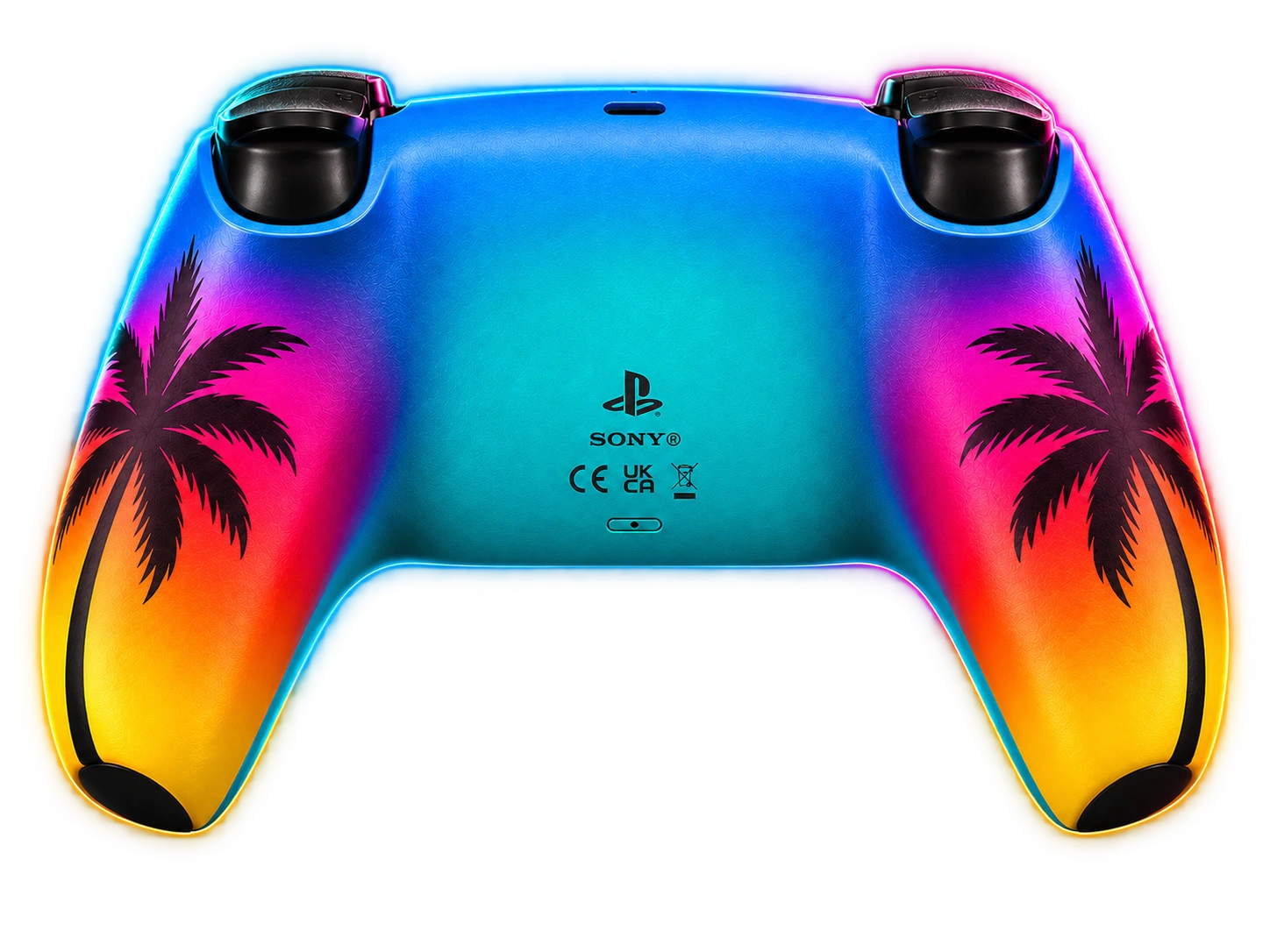 Rear of the Sunset Edition GTA 6-inspired controller, with palm artwork and a sunset gradient